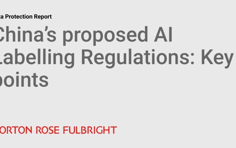Regulamentação de IA na China: Propostas e Impactos Analisados