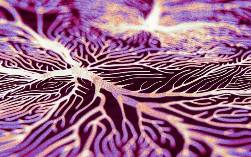 Tecnologia Verde: Descobertas no Alzheimer Reduzem Impacto Ambiental