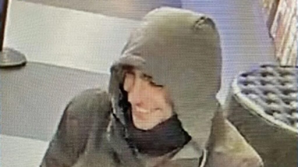 "IA Verde: Inovação Sustentável Transforma Ética Empresarial"