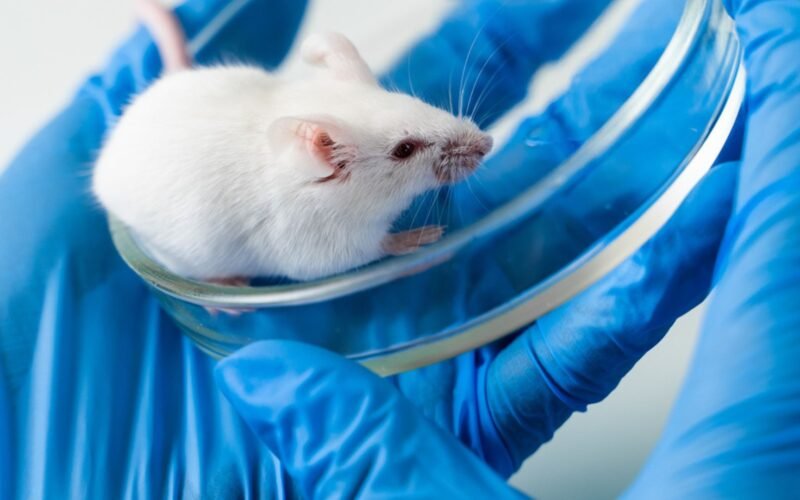 Novo Estudo em Engenharia Revela Avanços na Luta Contra o Vício