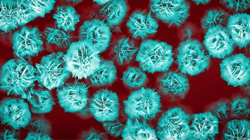 Novo Avanço em Engenharia: Partículas em Forma de Flor para Terapia