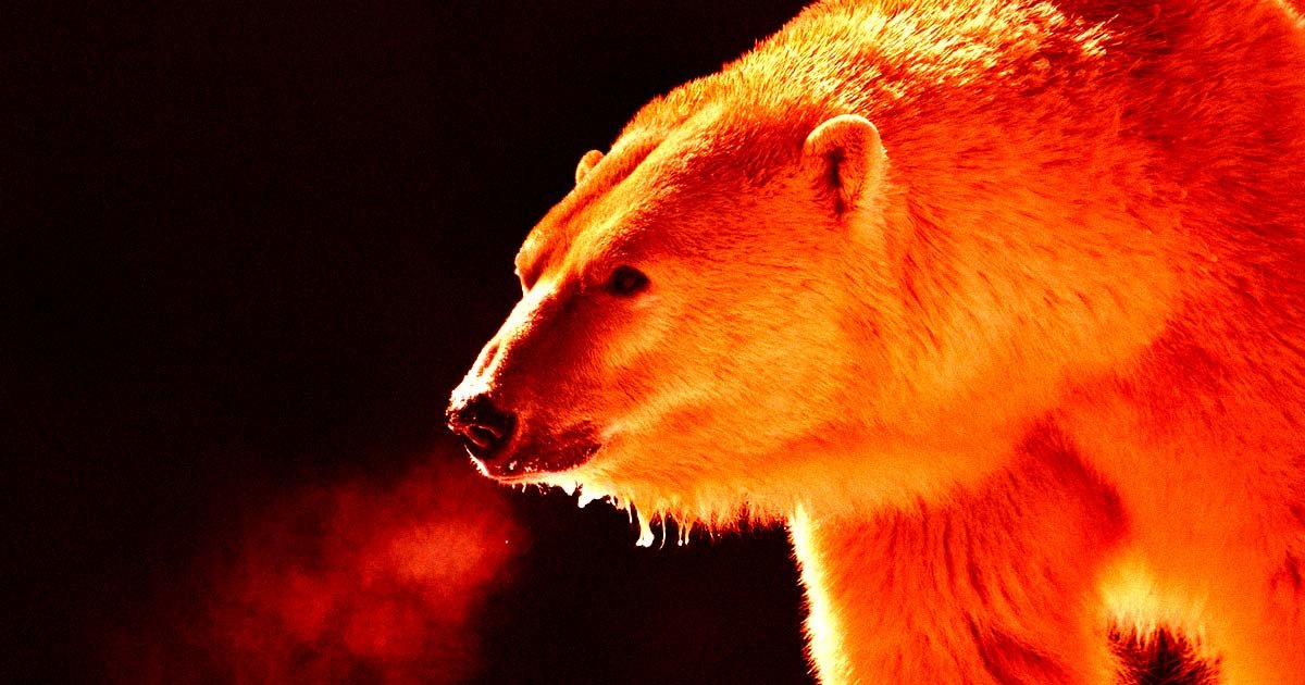 "Inovação Sustentável: IA Previne Conflitos Naturais"