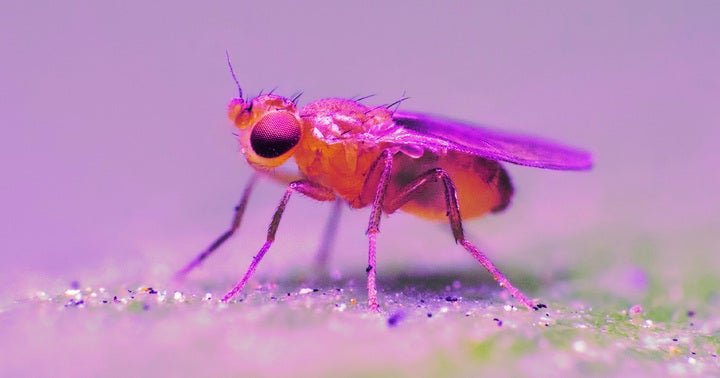 "ESG Tech: Microgravidade Verde Impulsiona Inovação Espacial"