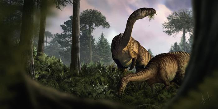 Novo Estudo em Engenharia Revela Dieta de Dinossauros Antigos