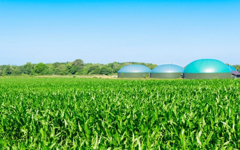 Novo Método de Engenharia Transforma CO2 em Proteína Nutritiva