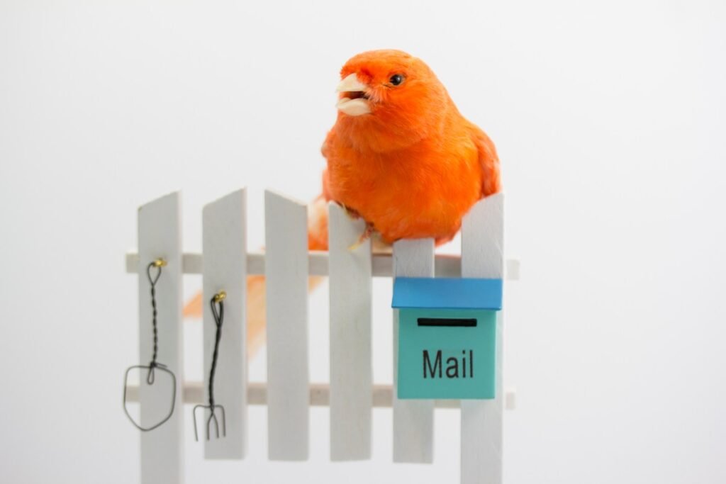 Novo Lançamento de Engenharia: Agente IA do Postman na Plataforma API