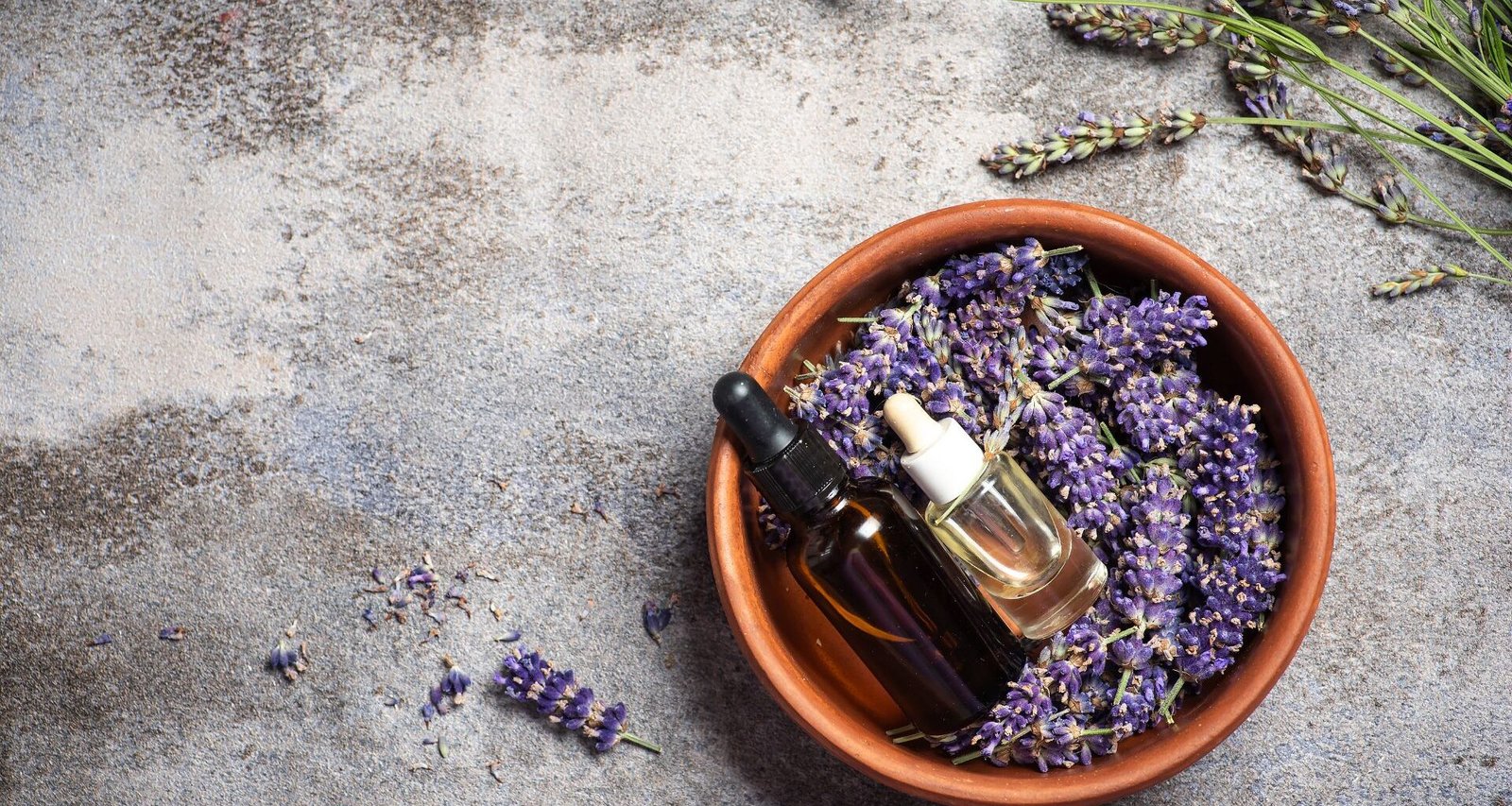 Engenharia: Novo Uso de Lavanda Aumenta Vida de Baterias