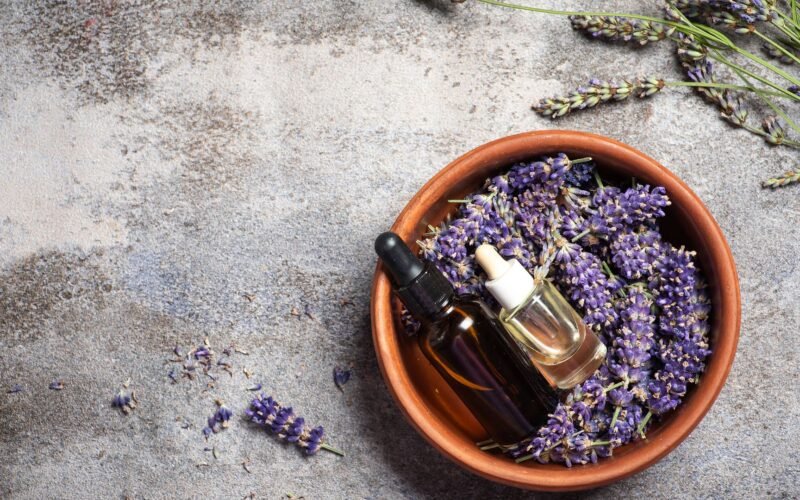 Engenharia: Novo Uso de Lavanda Aumenta Vida de Baterias