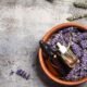 Engenharia: Novo Uso de Lavanda Aumenta Vida de Baterias