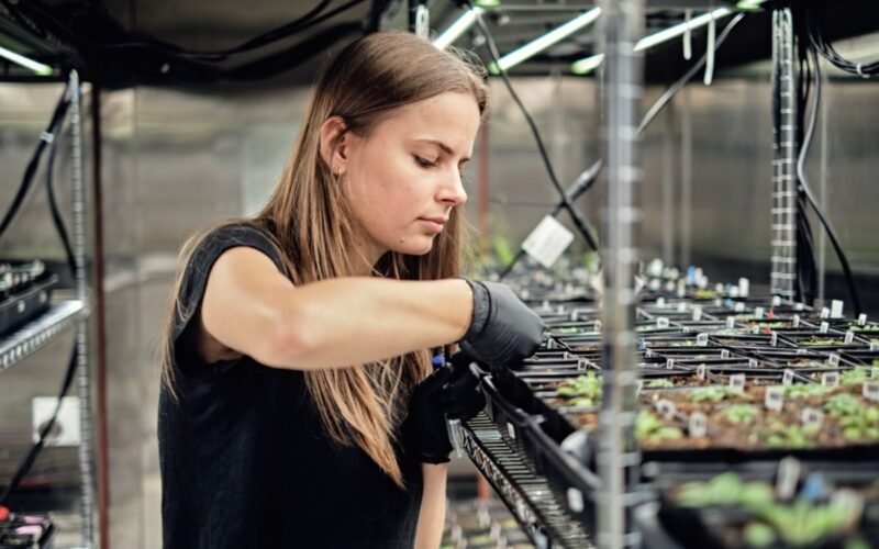 Novo Avanço na Engenharia: IA Otimiza Agricultura Global