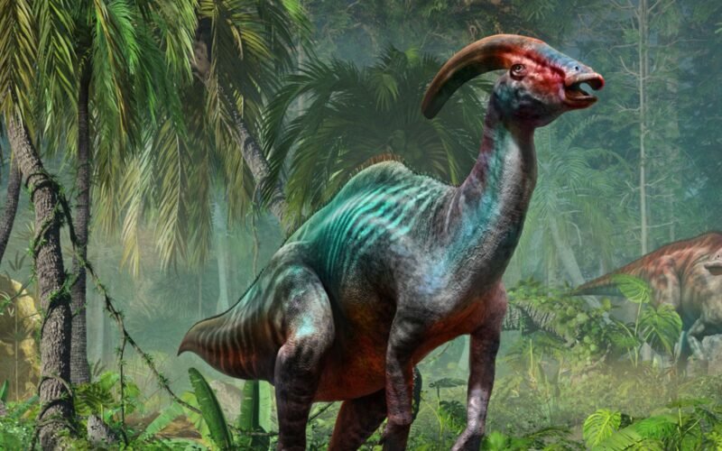 Novo Avanço em Engenharia: Colágeno Descoberto em Fósseis Antigos